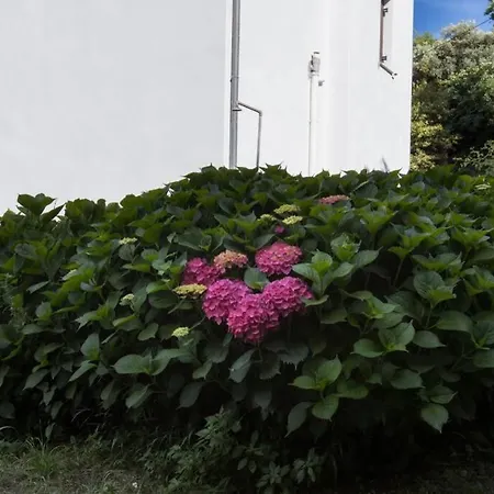 Aegean's Whispery Seafront Nyaraló Horeftó