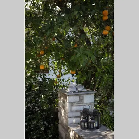 Aegean's Whispery Seafront Holiday home *