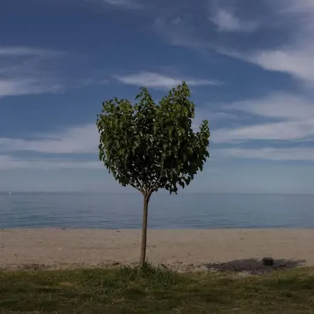 Aegean's Whispery Seafront