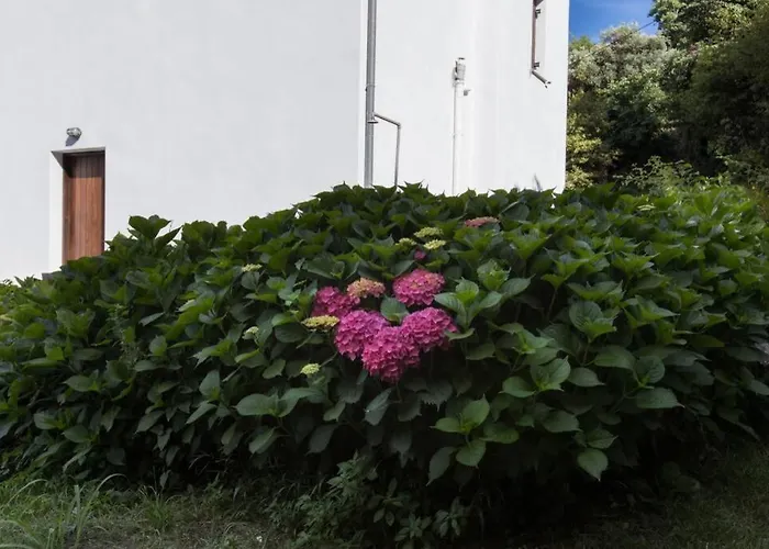 Aegean's Whispery Seafront Holiday home Chorefton