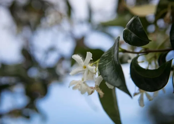 Holiday home Aegean's Whispery Seafront Chorefton