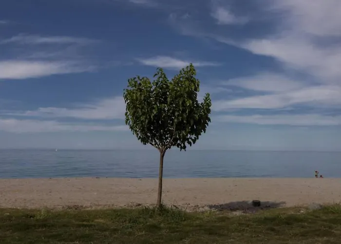 Aegean's Whispery Seafront